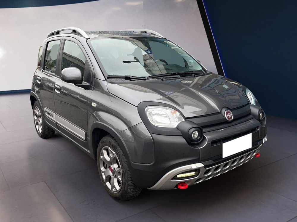 Fiat Panda usata a Torino (2)