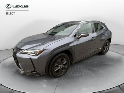 Lexus UX Hybrid Executive  del 2022 usata a Perugia