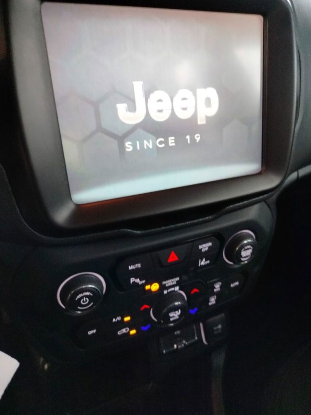 Jeep Renegade usata a Forlì-Cesena (19)