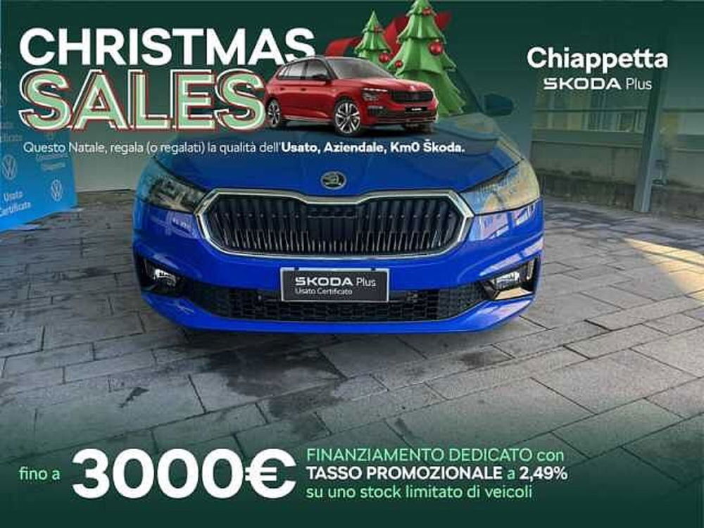 Skoda Fabia nuova a Cosenza (13)