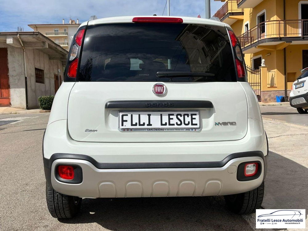 Fiat Panda Cross usata a Cosenza (6)