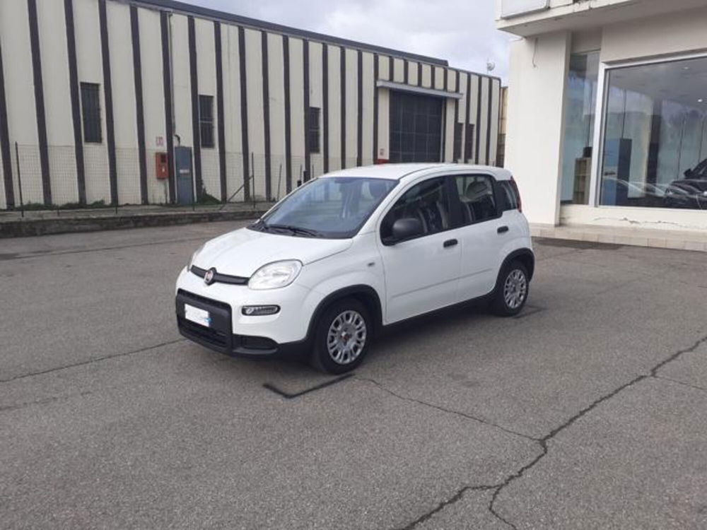 Fiat Panda usata a Firenze