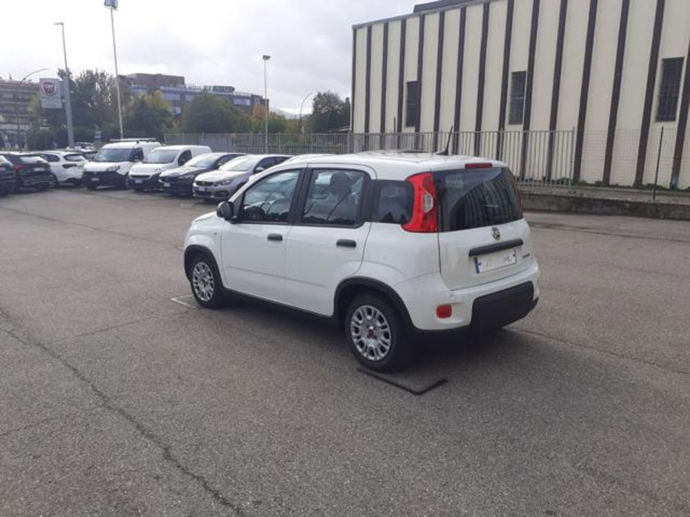 Fiat Panda usata a Firenze (10)