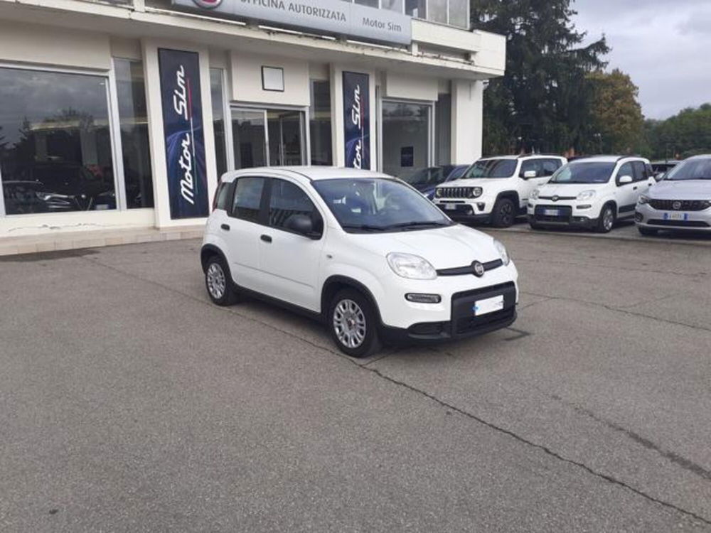 Fiat Panda usata a Firenze (3)