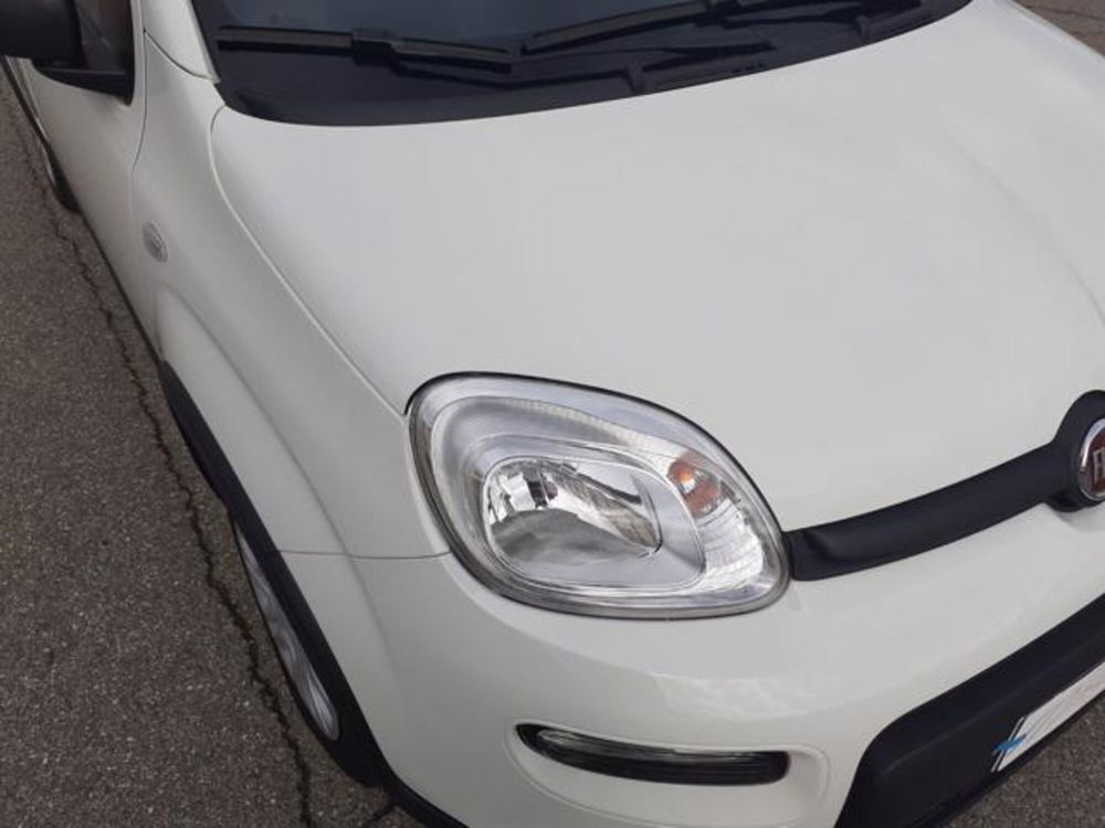 Fiat Panda usata a Firenze (4)