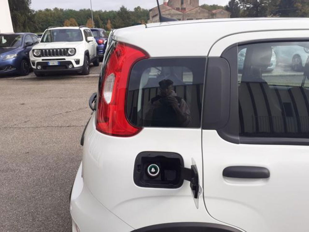 Fiat Panda usata a Firenze (6)