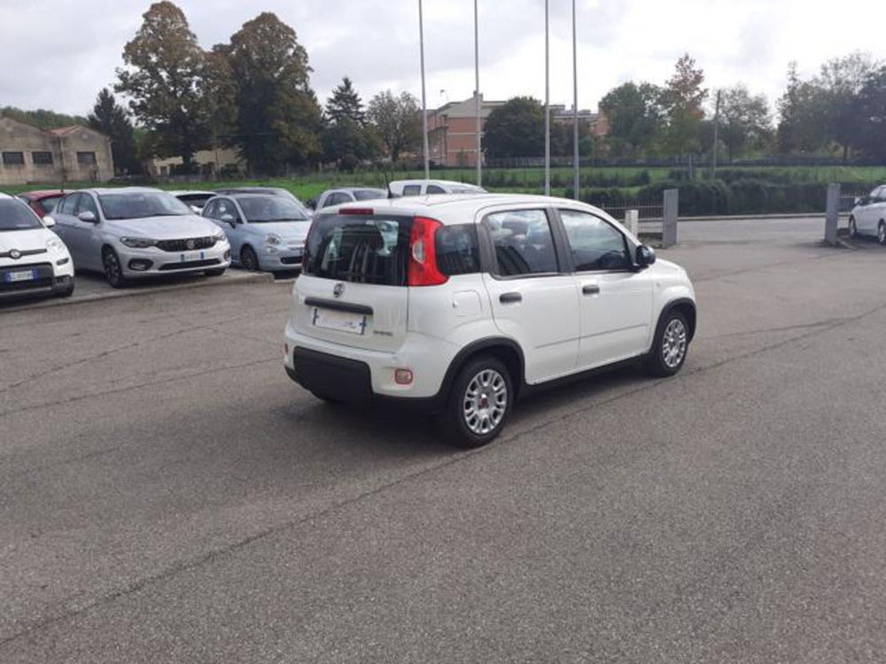 Fiat Panda usata a Firenze (8)