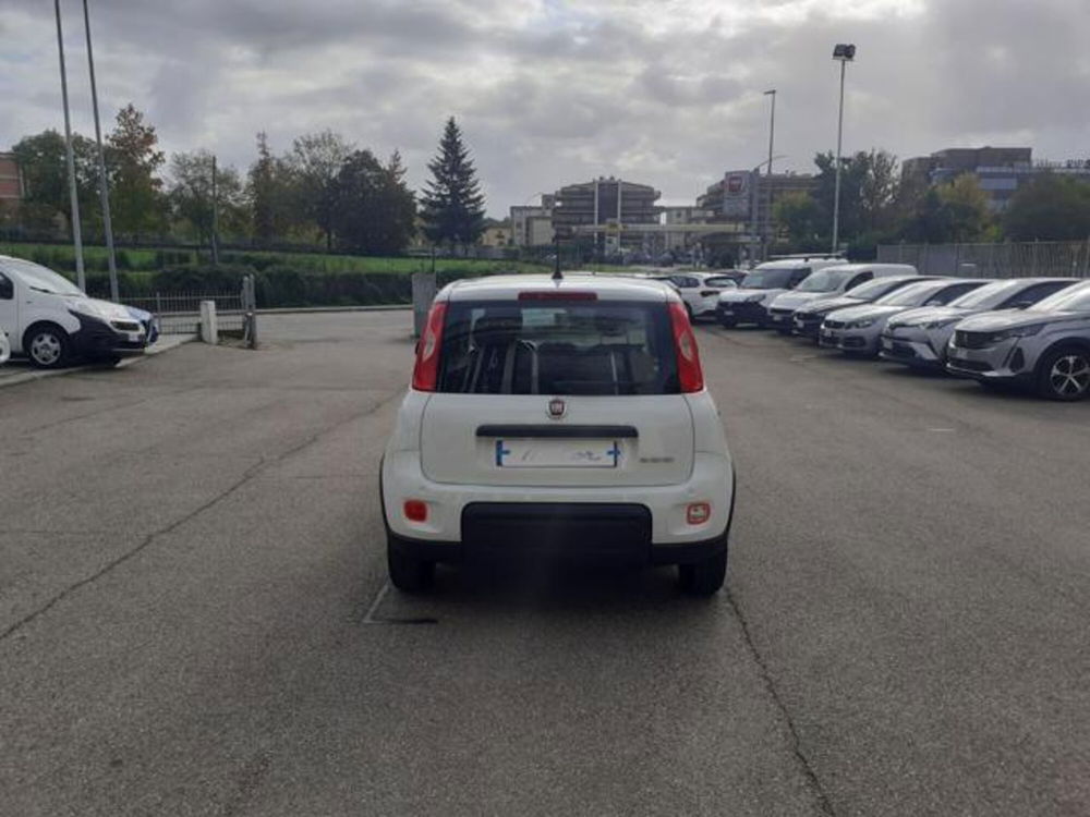 Fiat Panda usata a Firenze (9)