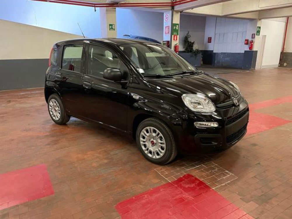 Fiat Panda nuova a Torino (2)