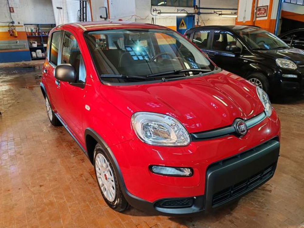 Fiat Panda nuova a Torino (3)