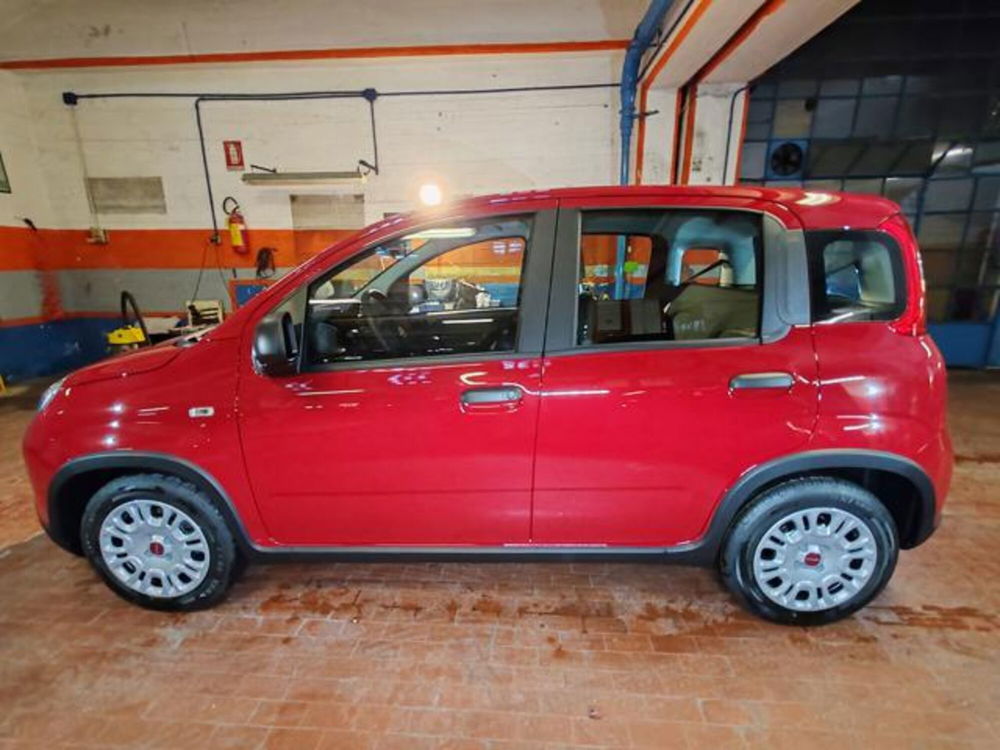 Fiat Panda nuova a Torino (8)