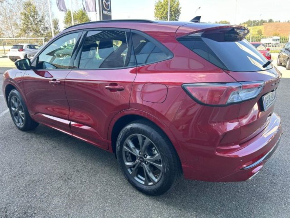 Ford Kuga usata a Cuneo (6)