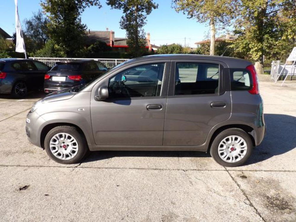 Fiat Panda usata a Treviso (2)