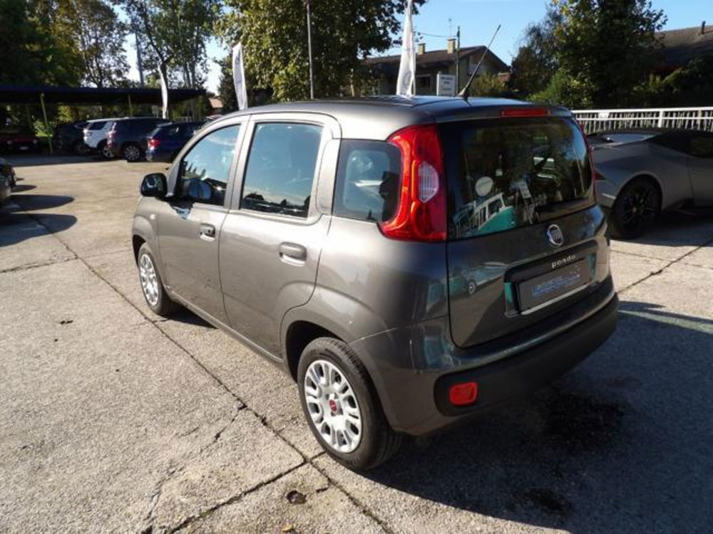 Fiat Panda usata a Treviso (3)