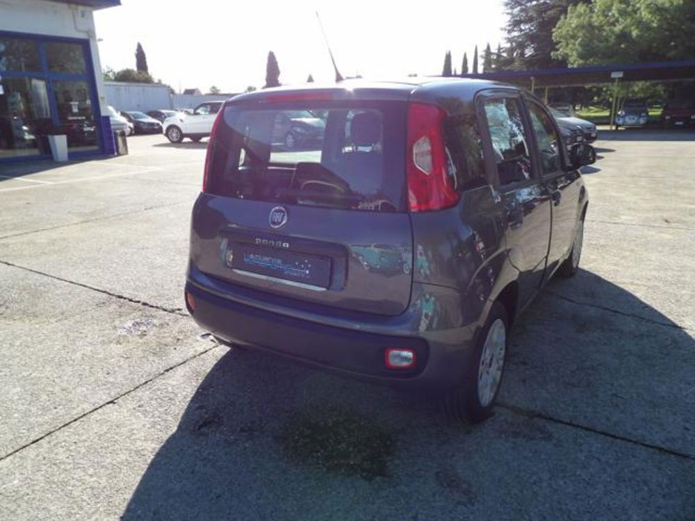 Fiat Panda usata a Treviso (5)