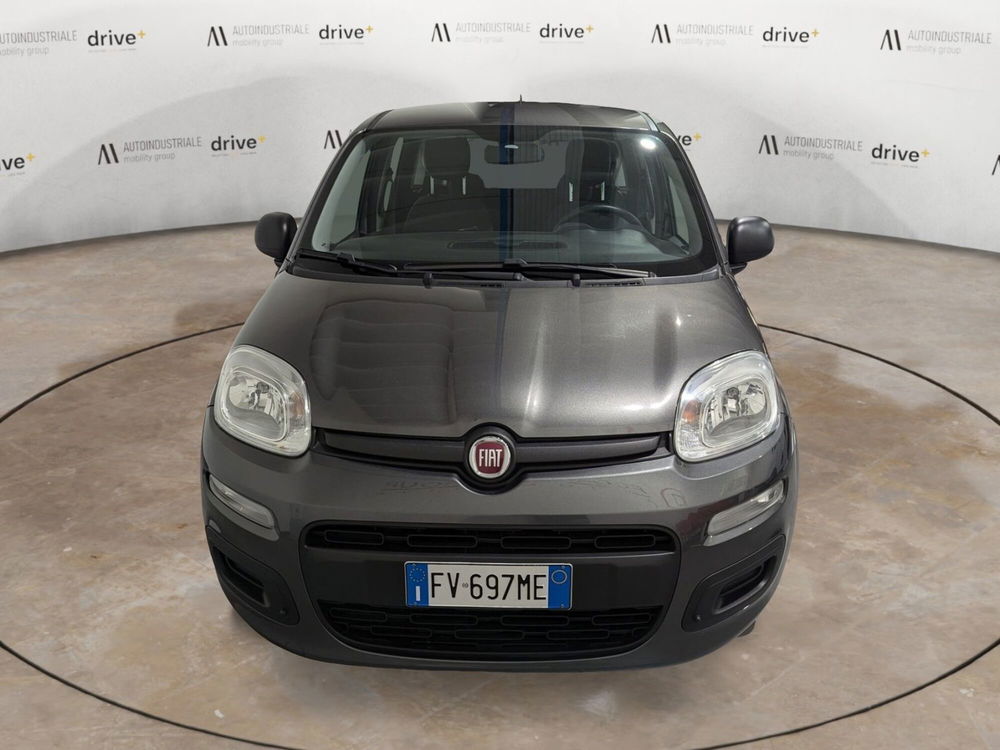 Fiat Panda usata a Trento (2)