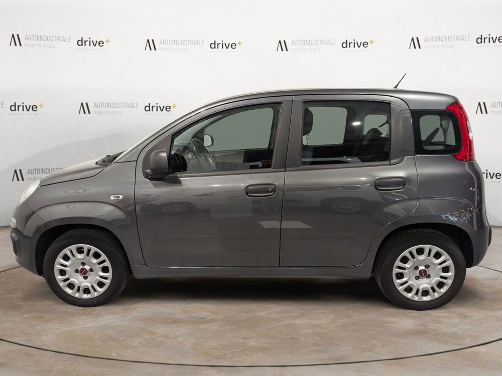 Fiat Panda usata a Trento (3)