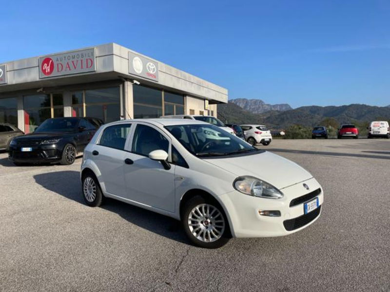 Fiat Punto 1.2 8V 5 porte Street  del 2017 usata a Maniago