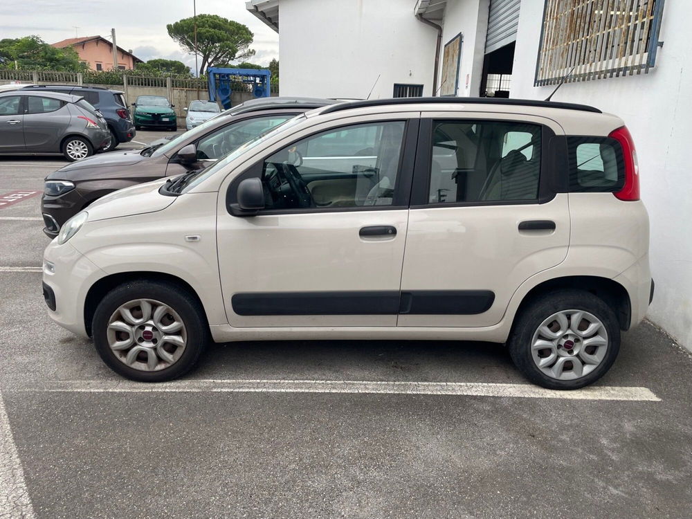 Fiat Panda usata a Lucca (3)