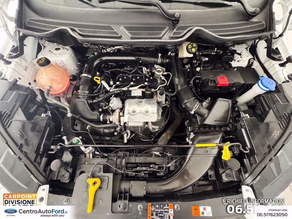 Ford EcoSport usata a Roma (11)