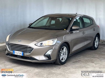 Ford Focus 1.5 EcoBlue 120 CV automatico 5p. Business Co-Pilot  del 2019 usata a Albano Laziale