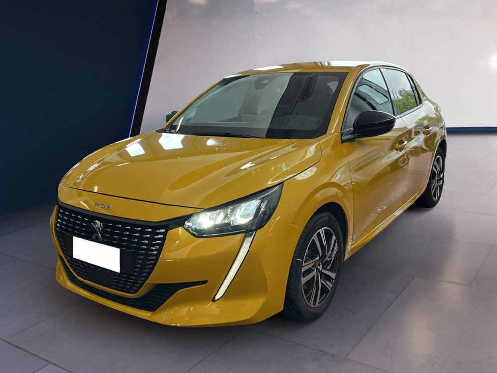 Peugeot 208 usata a Torino (2)