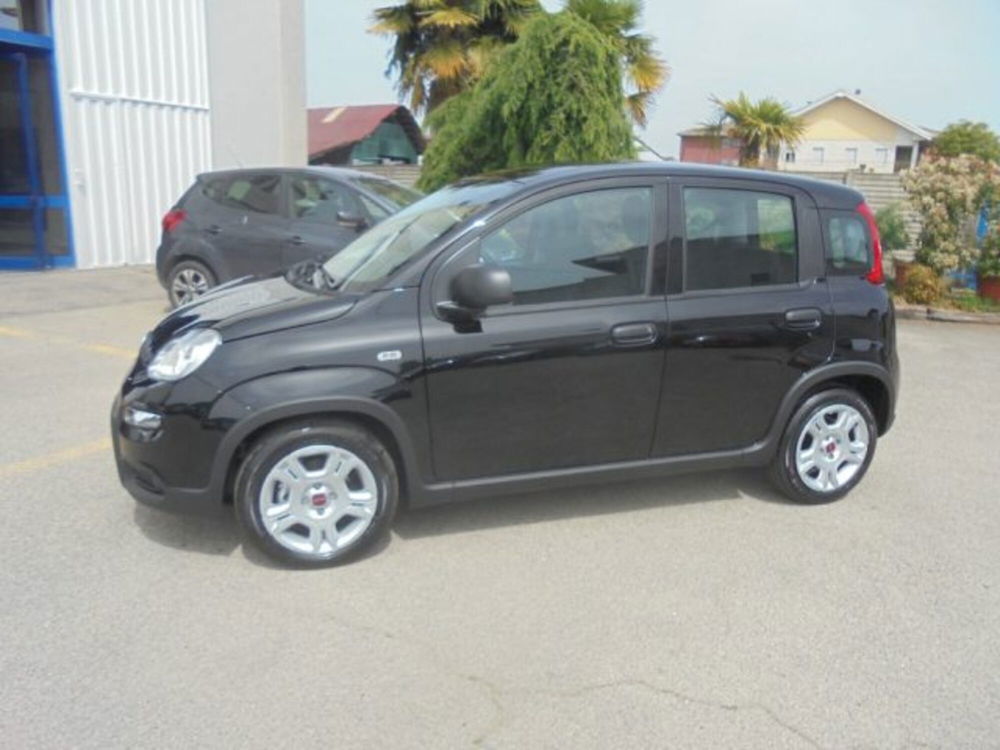 Fiat Panda nuova a Novara (2)