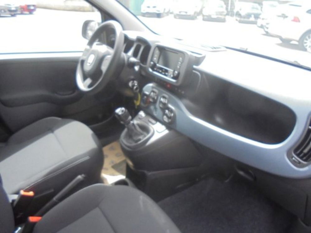 Fiat Panda nuova a Novara (5)