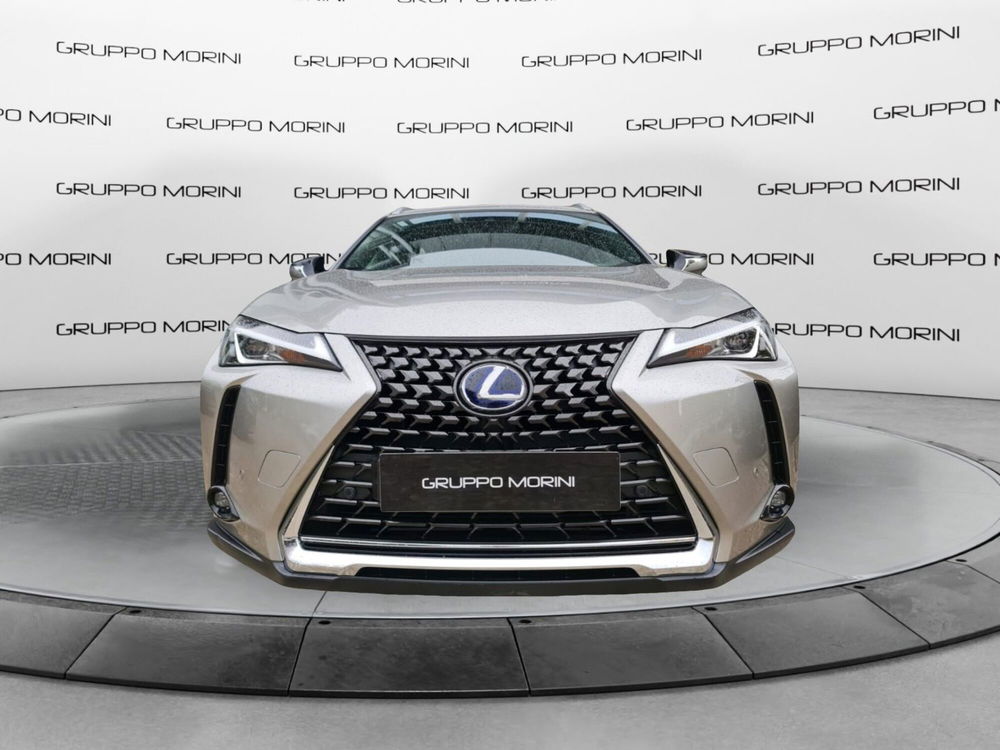 Lexus UX usata a Bologna (2)