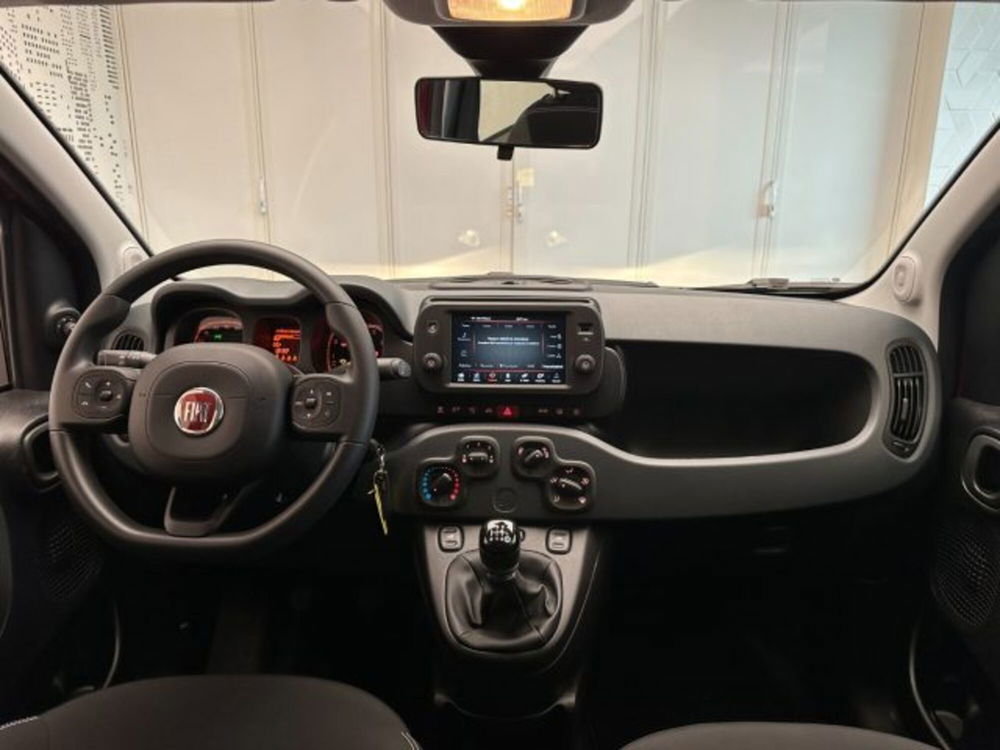 Fiat Panda Cross usata a Cuneo (11)