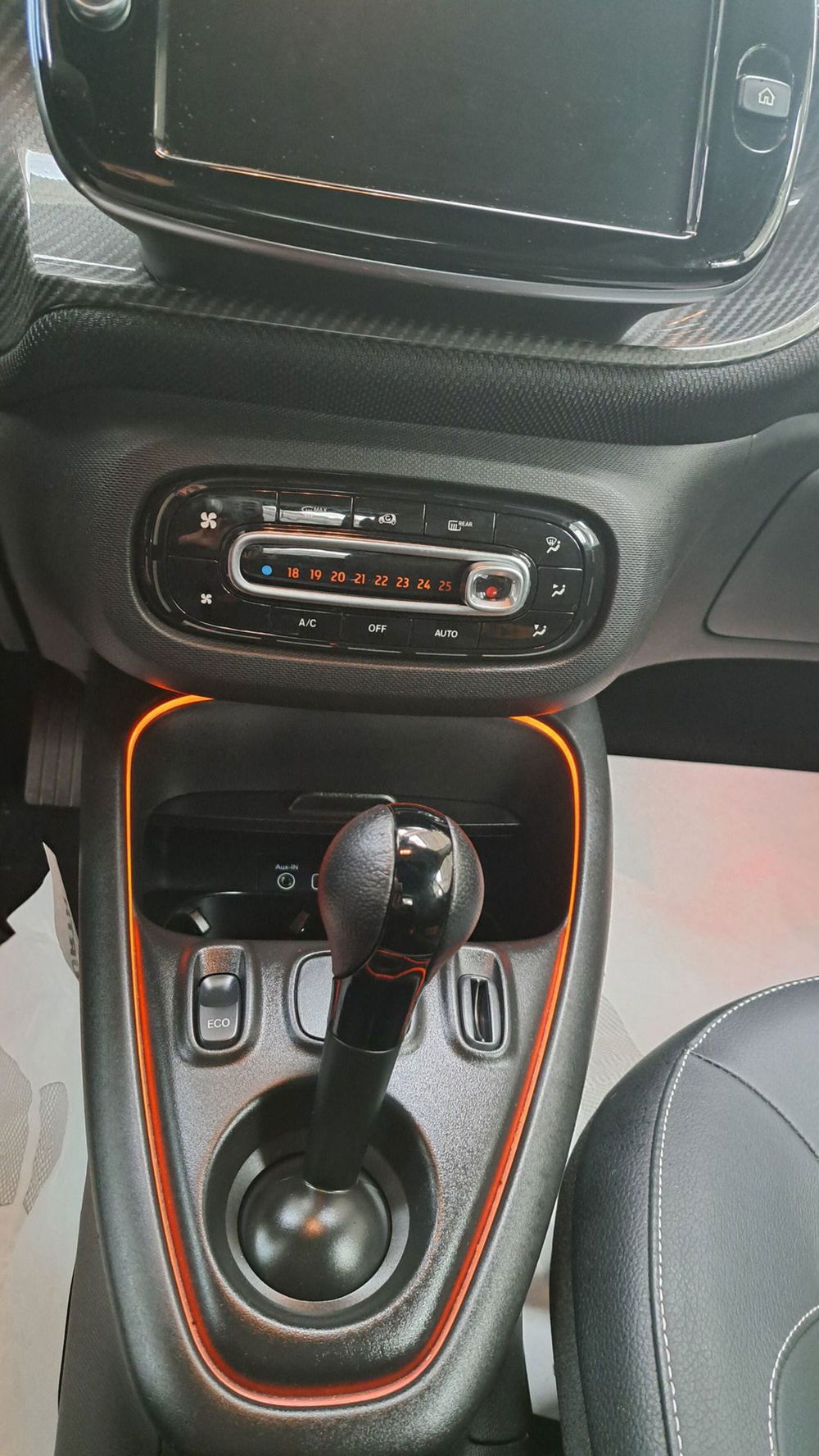 smart Fortwo usata a Monza e Brianza (14)