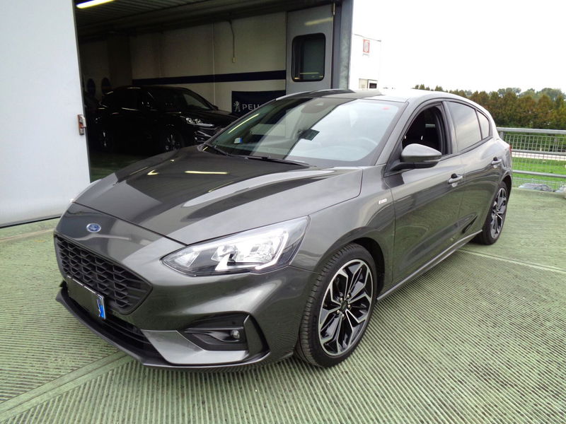 Ford Focus 1.5 EcoBlue 120 CV 5p. Business  del 2021 usata a Castelfranco Veneto