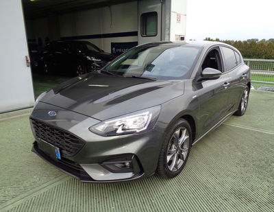 Ford Focus 1.5 EcoBlue 120 CV 5p. Active  del 2021 usata a Castelfranco Veneto