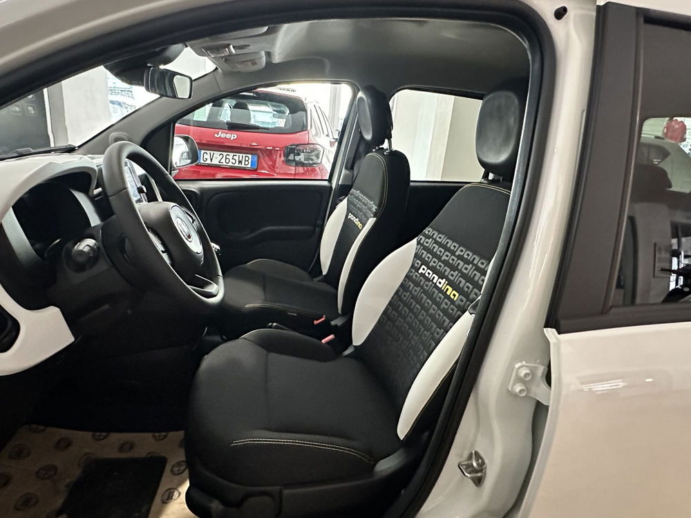 Fiat Panda Cross nuova a Cremona (12)