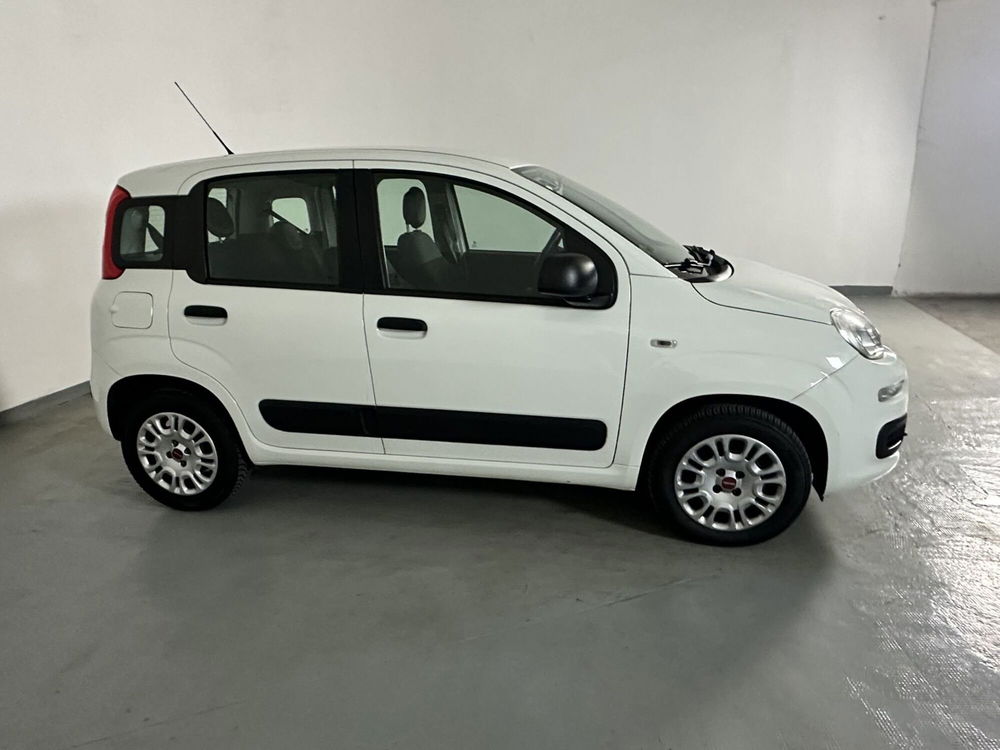 Fiat Panda usata a Cremona (3)