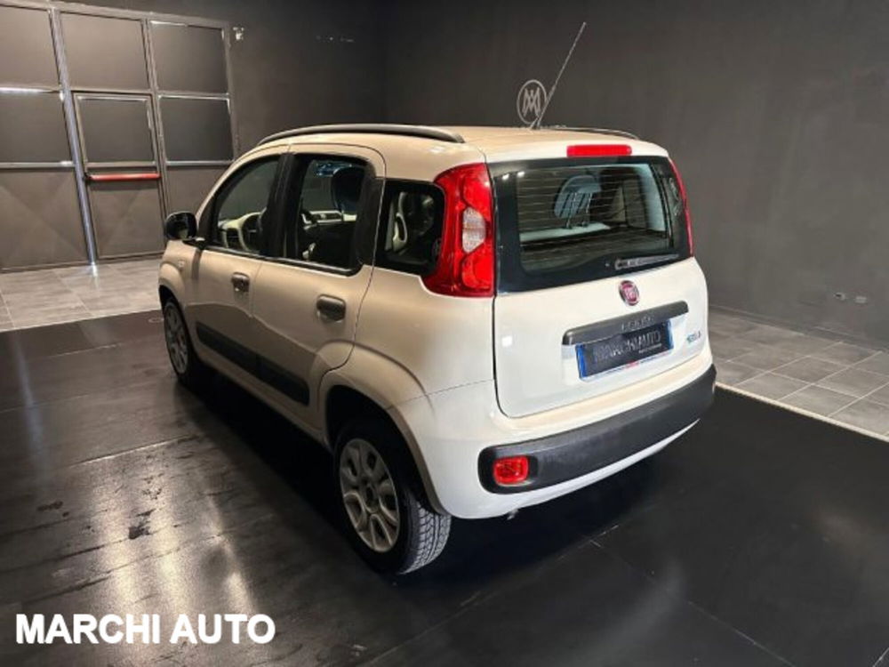 Fiat Panda usata a Perugia (5)