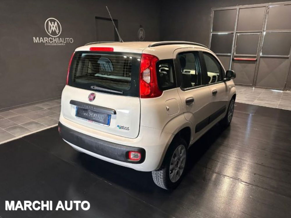 Fiat Panda usata a Perugia (7)