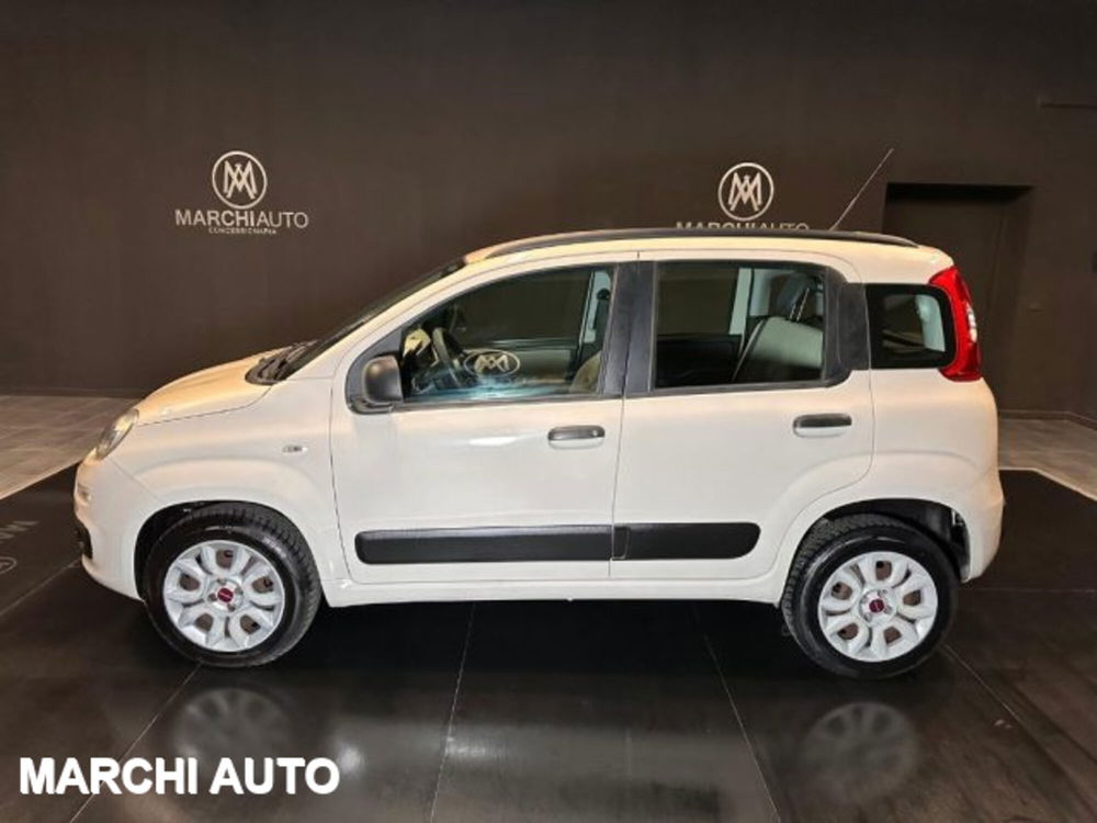 Fiat Panda usata a Perugia (8)