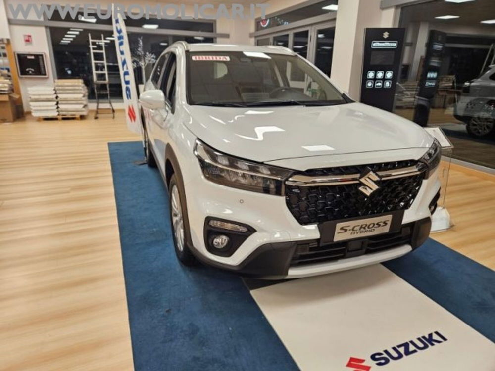 Suzuki S-Cross nuova a Campobasso (20)