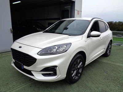 Ford Kuga 2.5 Full Hybrid 190 CV CVT AWD ST-Line X del 2022 usata a Castelfranco Veneto