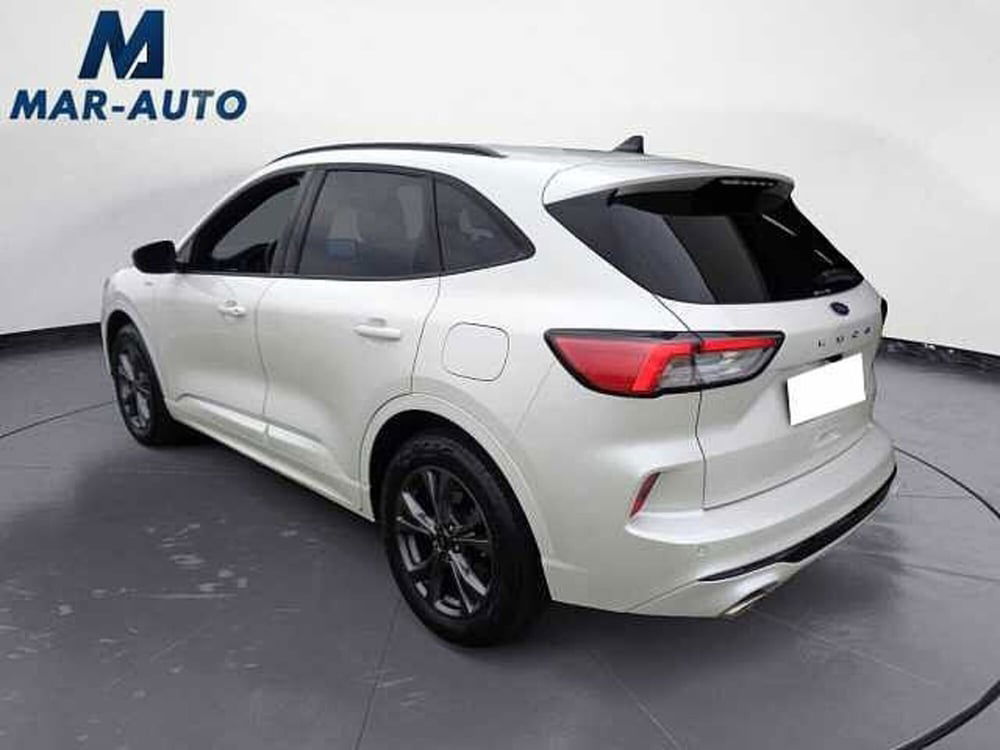 Ford Kuga usata a Treviso (2)