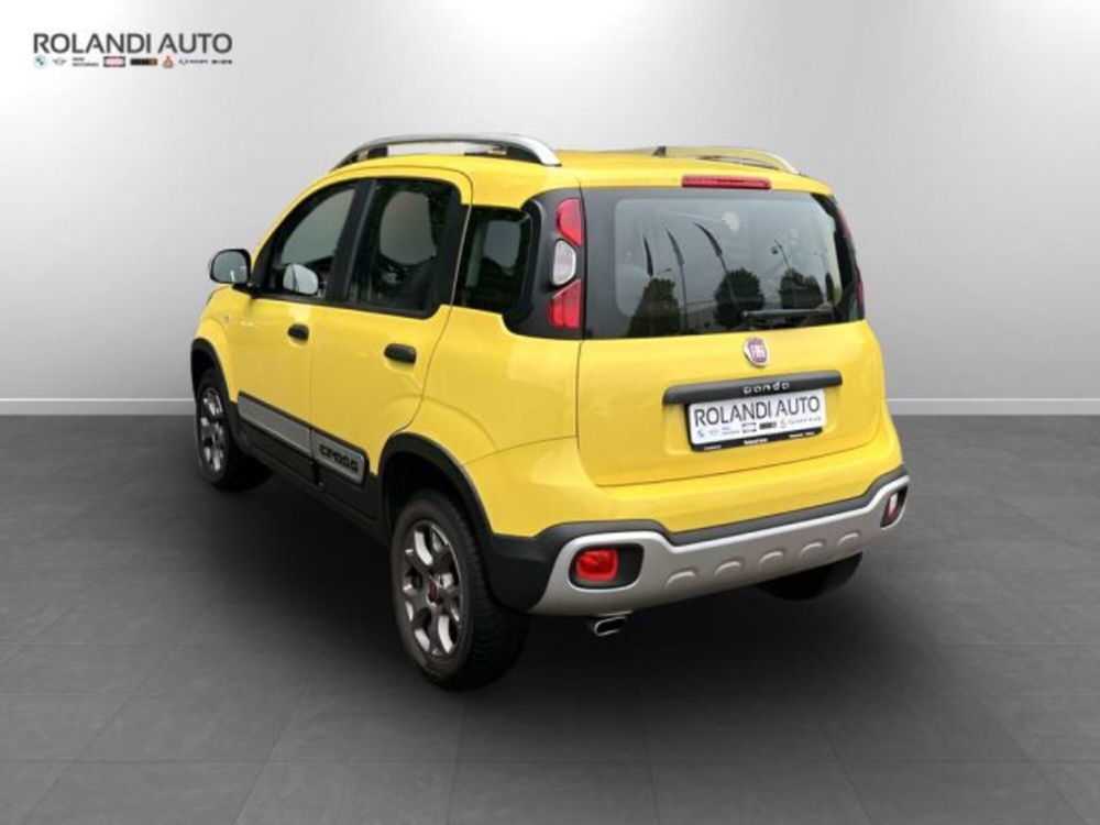 Fiat Panda Cross usata a Alessandria (6)