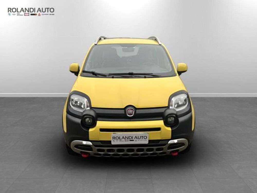 Fiat Panda Cross usata a Alessandria (8)