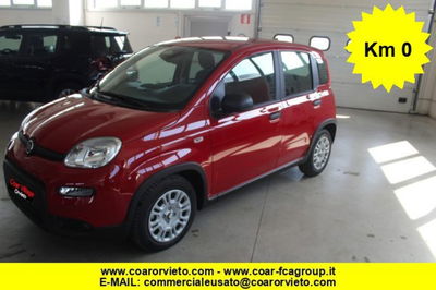 Fiat Panda 1.0 firefly hybrid s&amp;s 70cv 5p.ti nuova a Orvieto