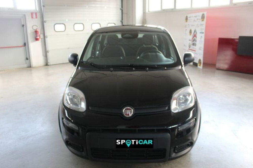 Fiat Panda nuova a Terni (2)