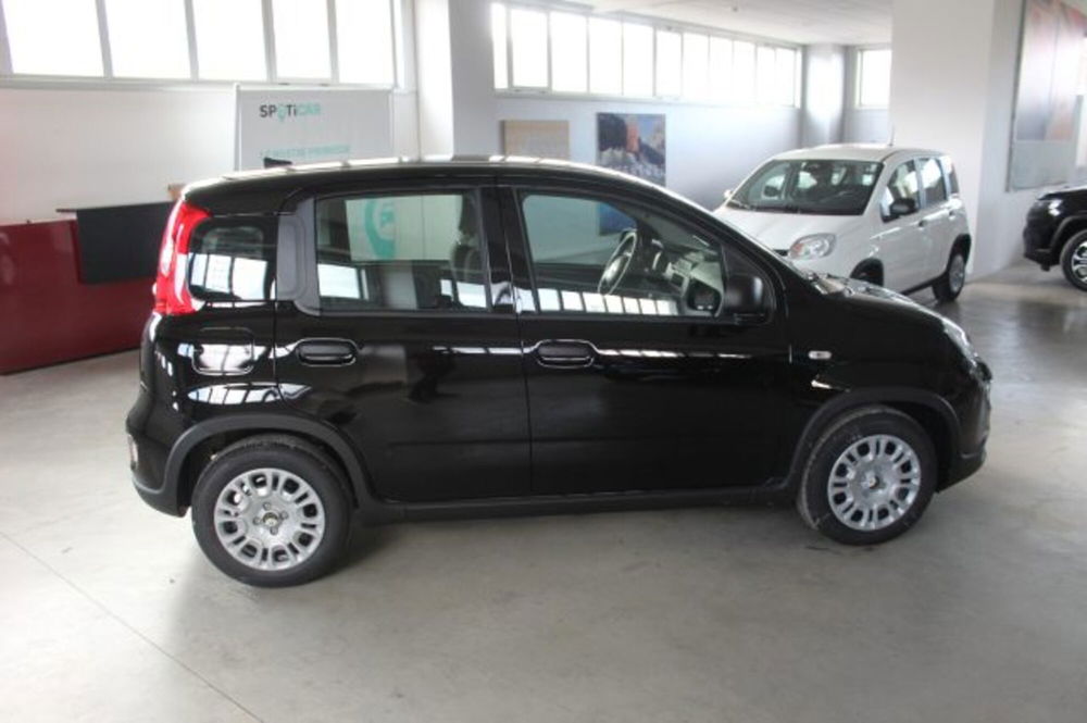 Fiat Panda nuova a Terni (6)