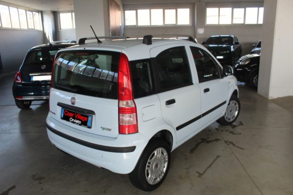 Fiat Panda usata a Terni (4)