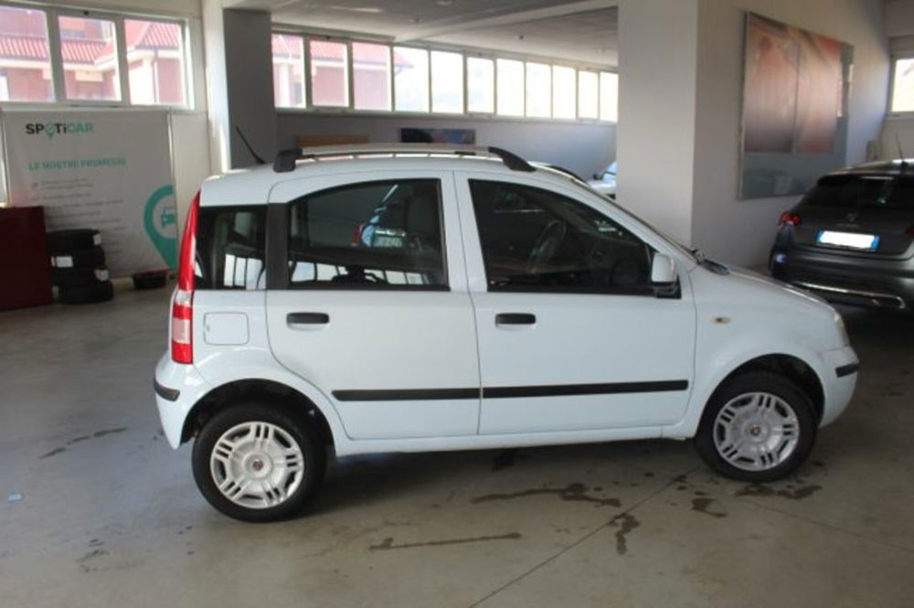 Fiat Panda usata a Terni (6)