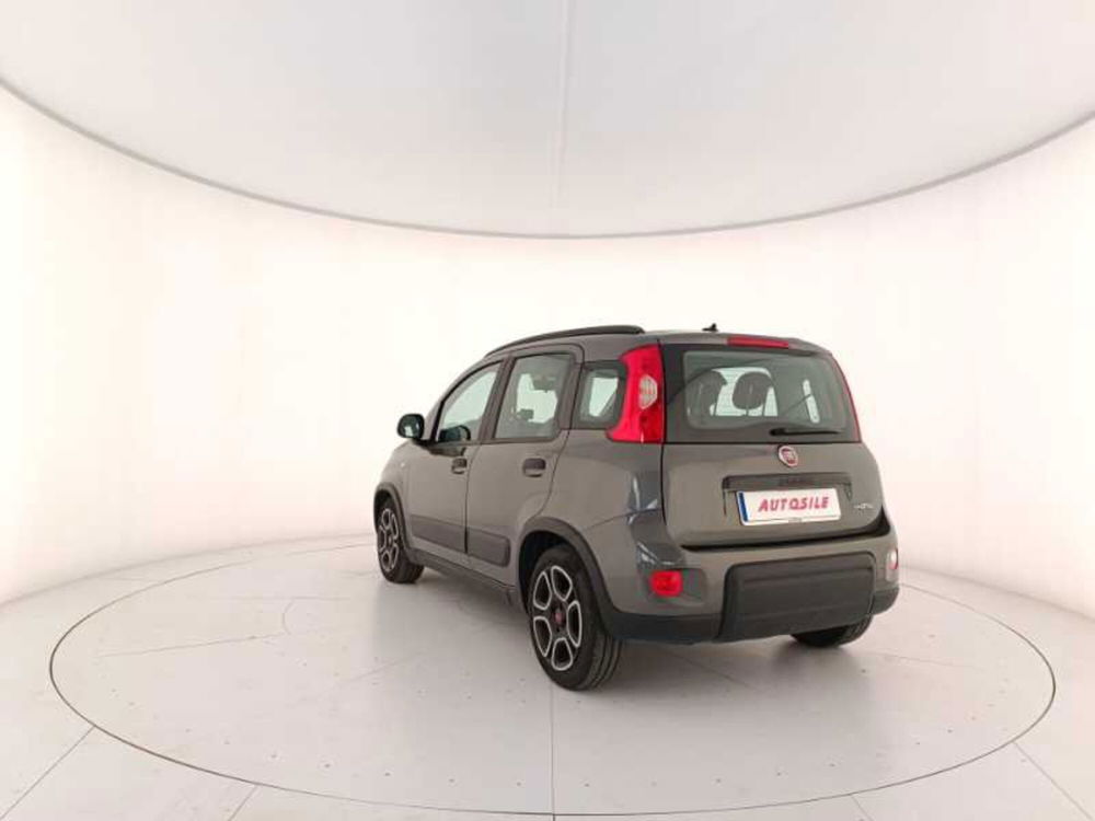 Fiat Panda usata a Treviso (4)