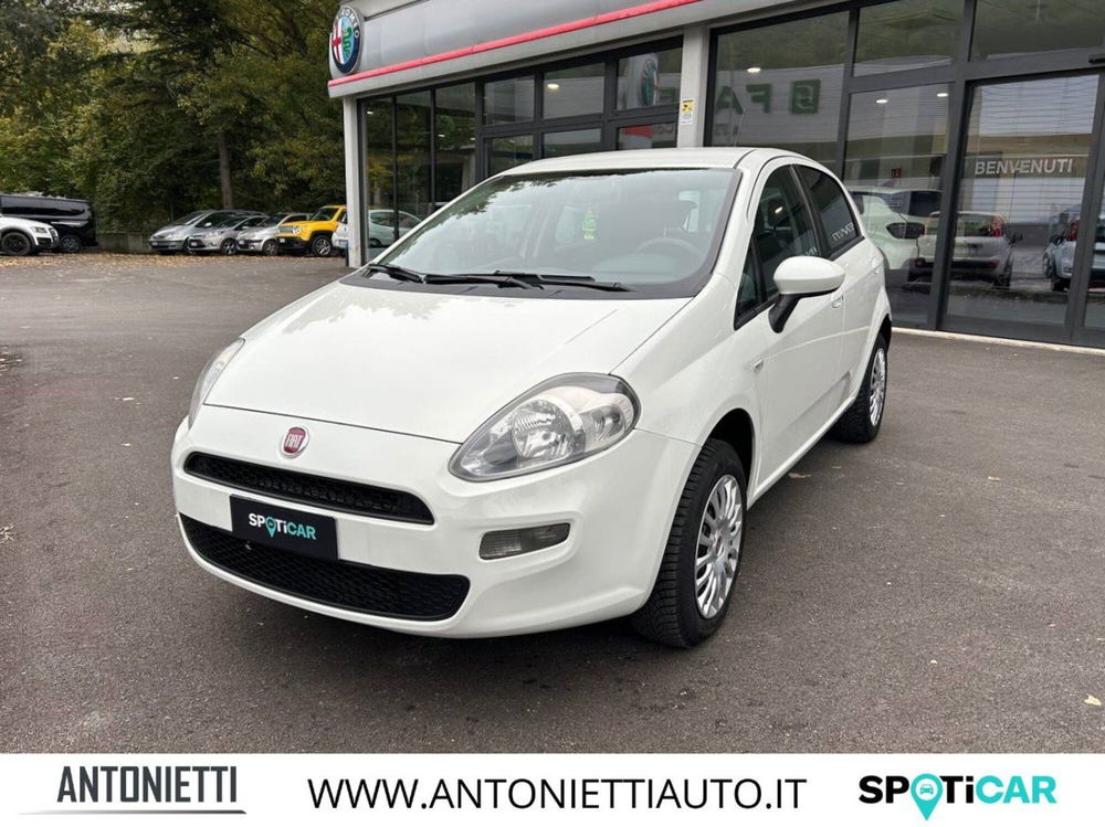 Fiat Punto usata a Ancona